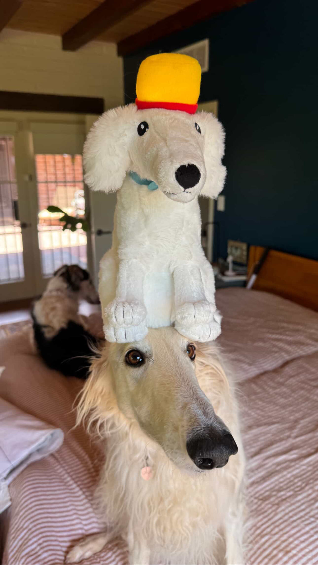 SIREN ZOI™ - by @Esperborzoi