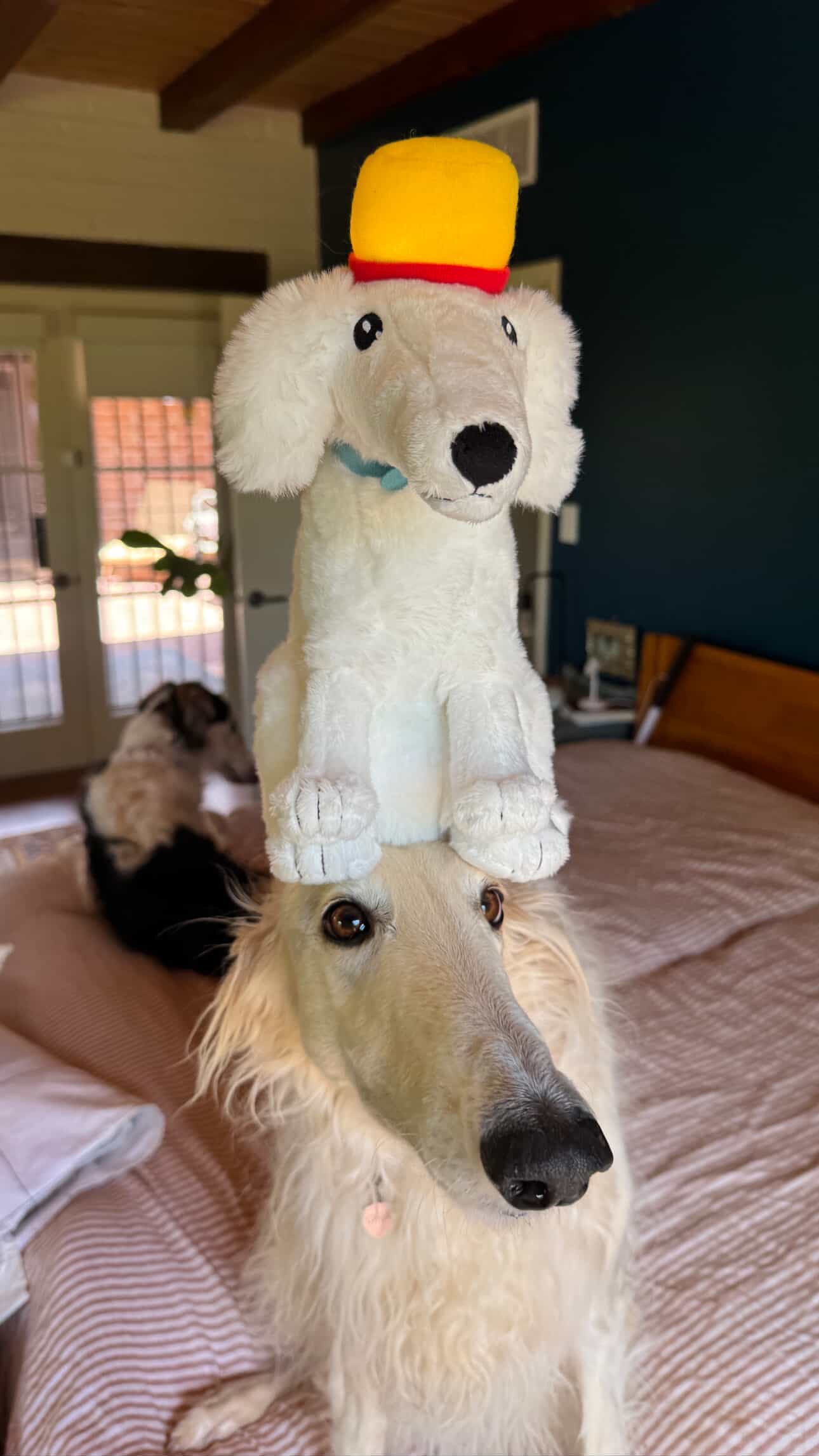 SIREN ZOI™ - by @Esperborzoi