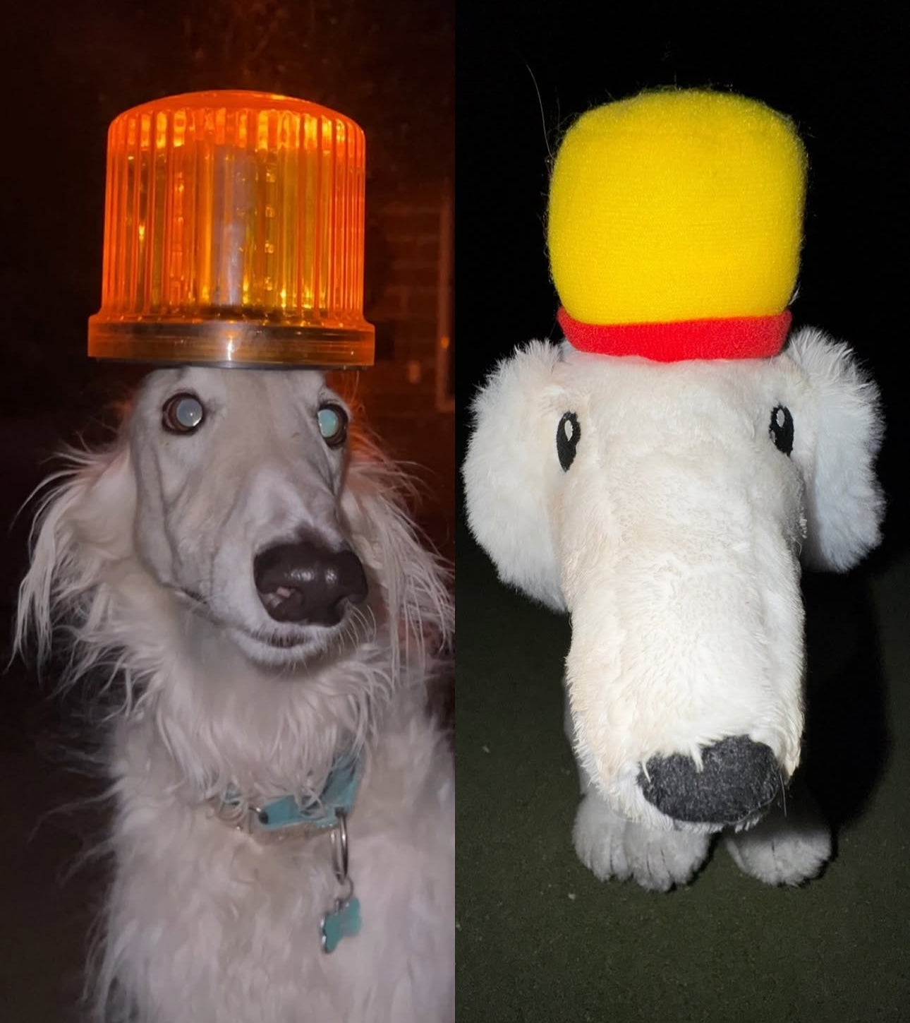 SIREN ZOI™ - by @Esperborzoi